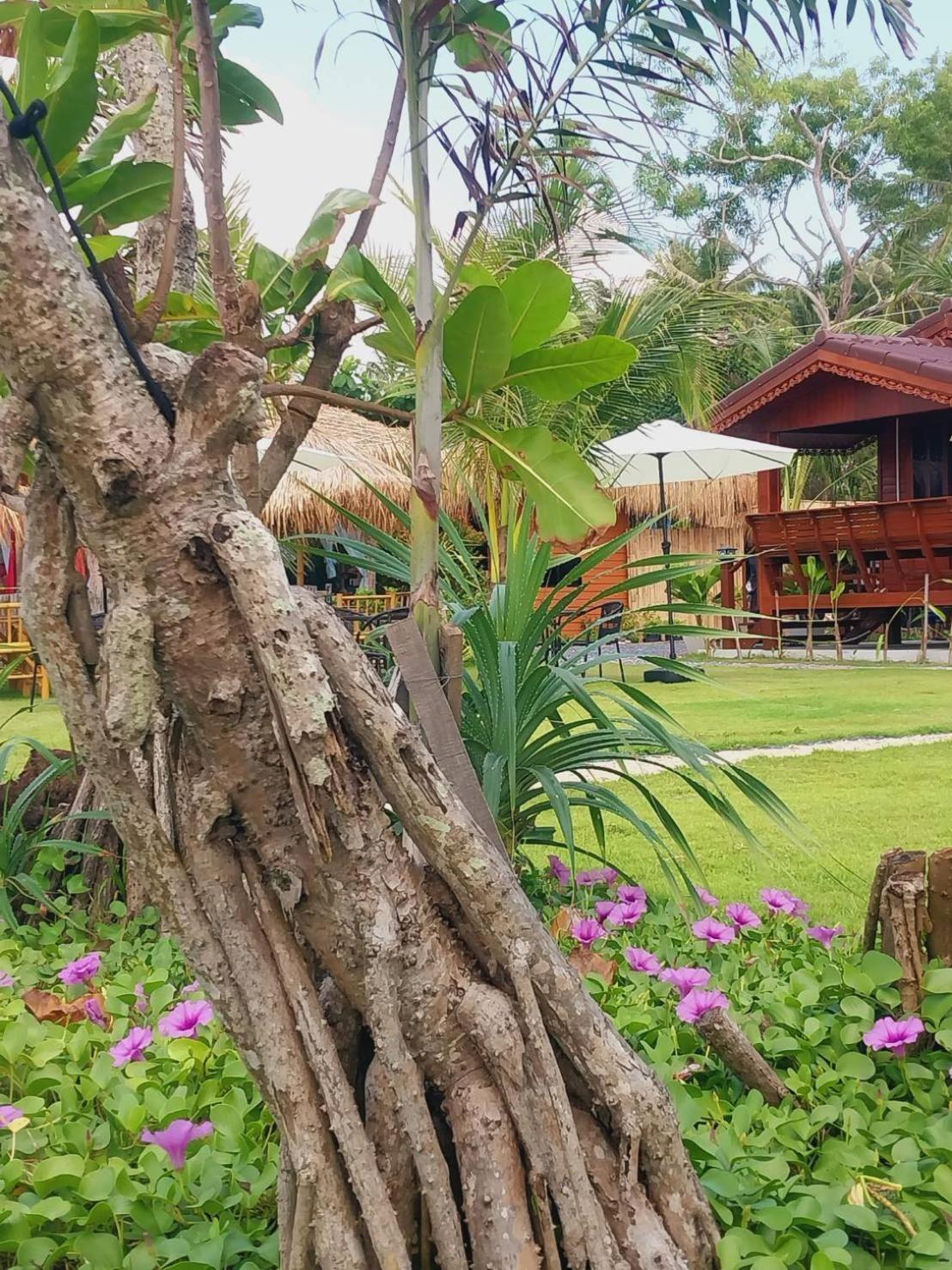 Walden Koh Lanta - Tiny Homes By The Sea Экстерьер фото